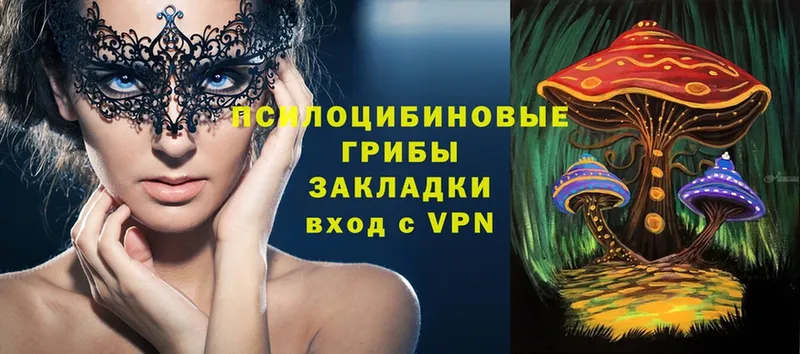 Псилоцибиновые грибы Magic Shrooms  shop как зайти  Карабулак 