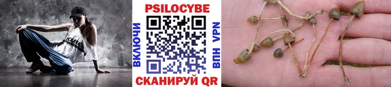 Галлюциногенные грибы GOLDEN TEACHER  Карабулак 